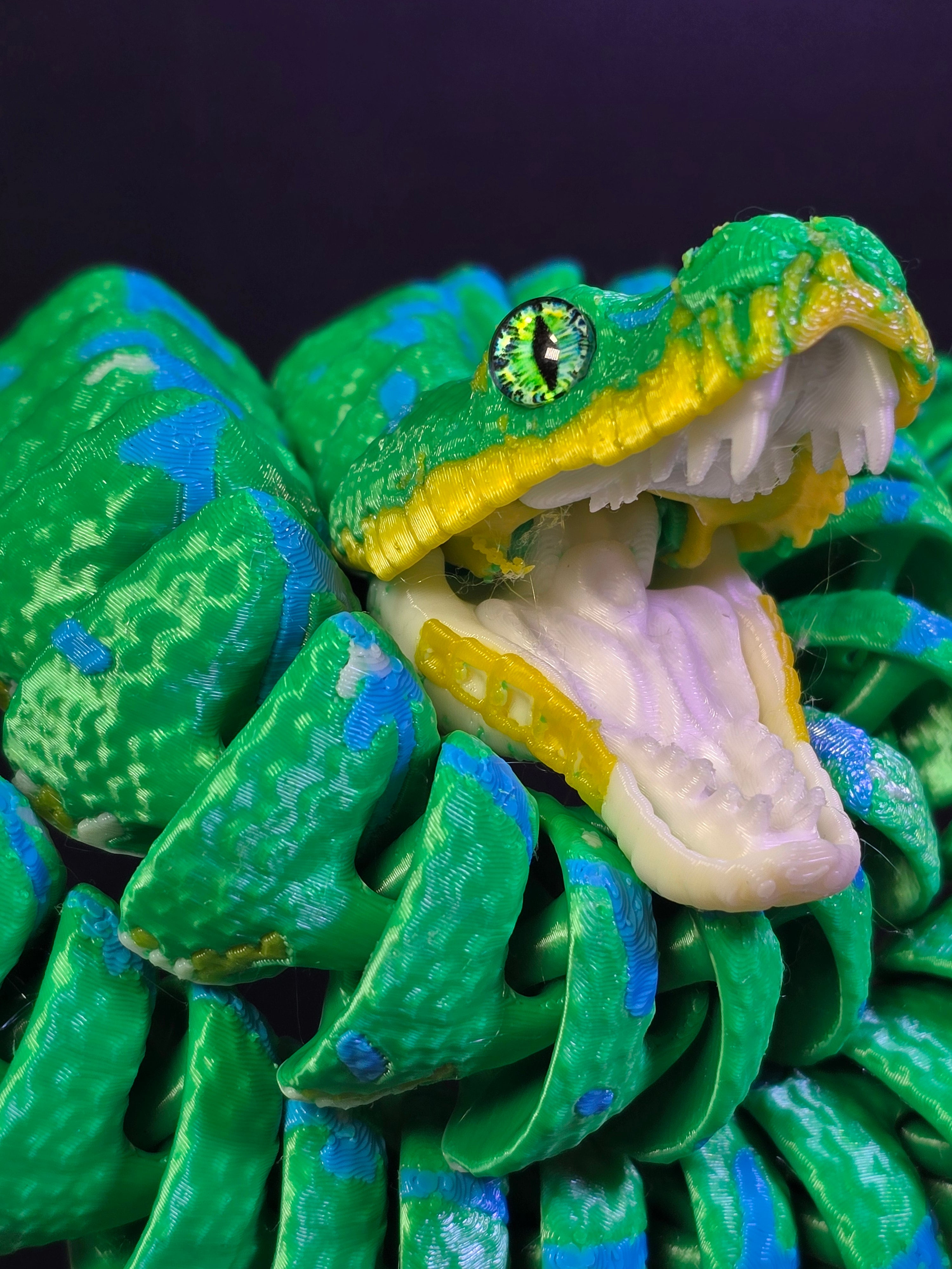 Green Python Realistic Drawing Realistic Sorong Green Tree Python – Raki-Taki